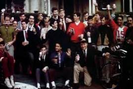 Tcm: Animal House 2016