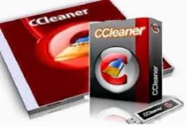 CCleaner Professional Business Technician 5